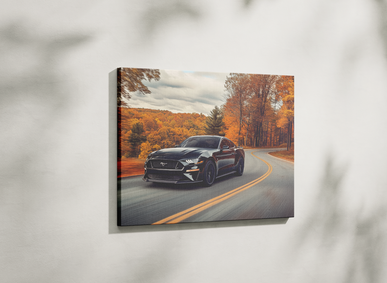 MUSTANG CANVAS ART