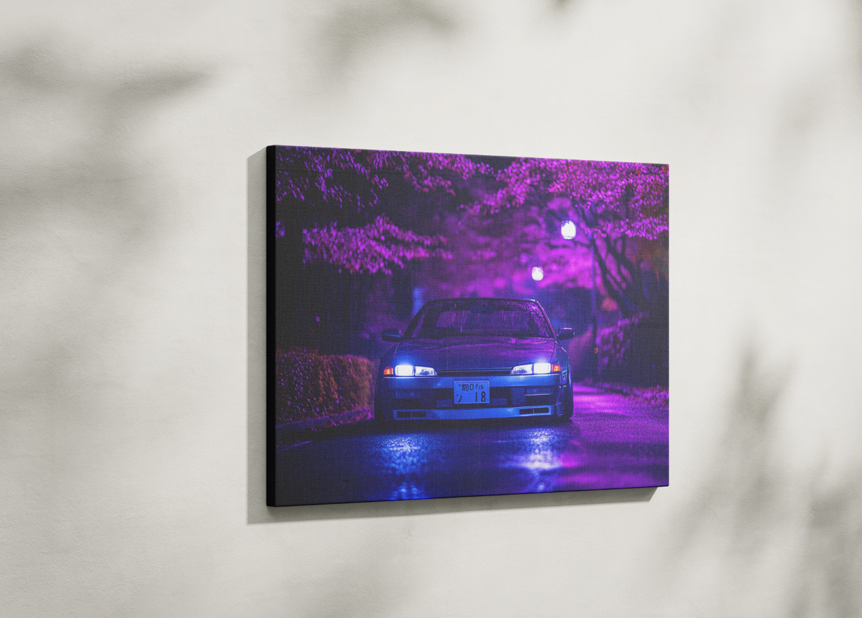 SILVIA CANVAS ART