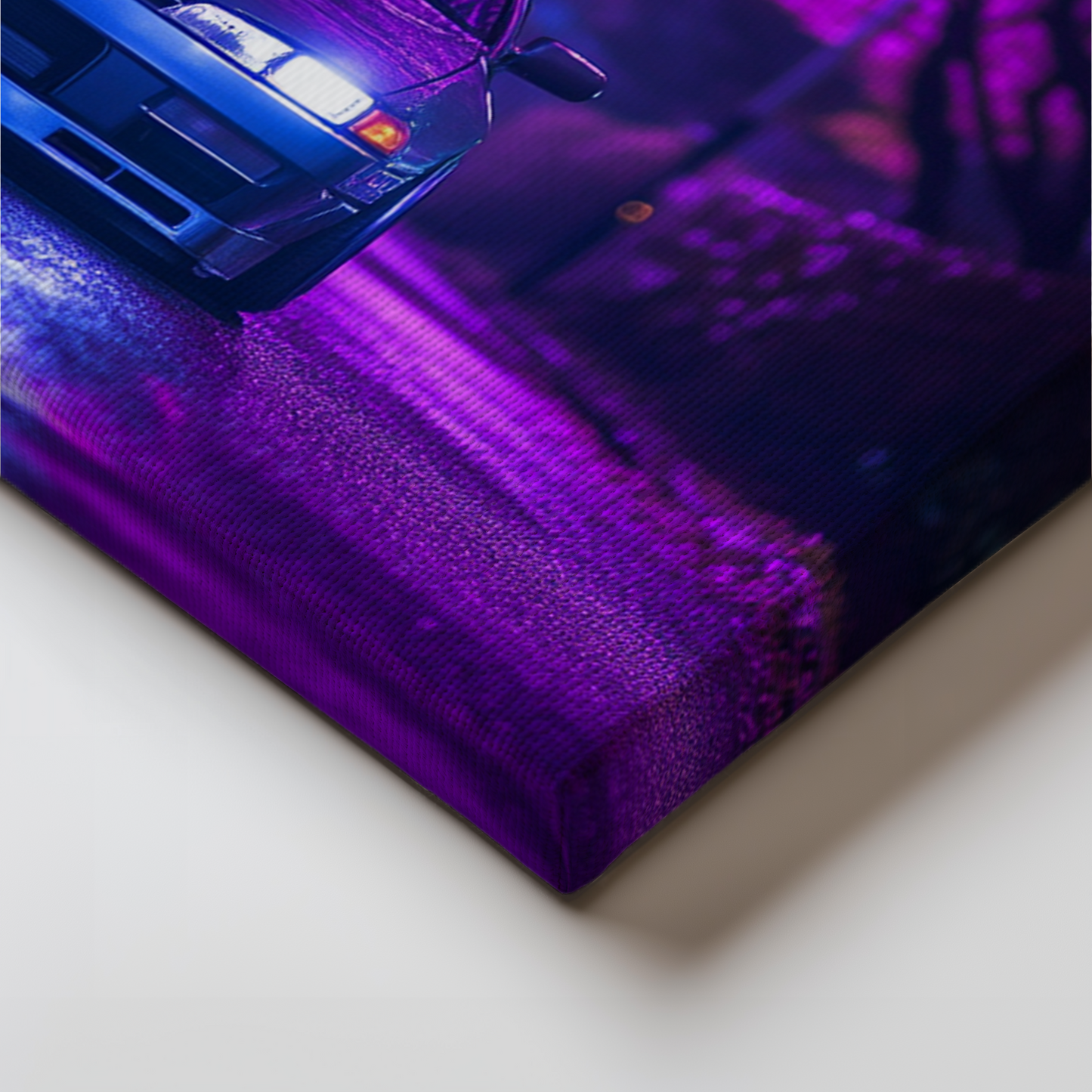 SILVIA CANVAS ART