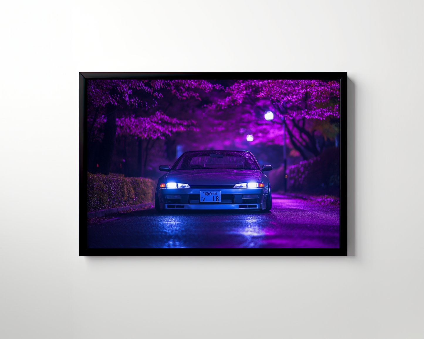 SILVIA CANVAS ART