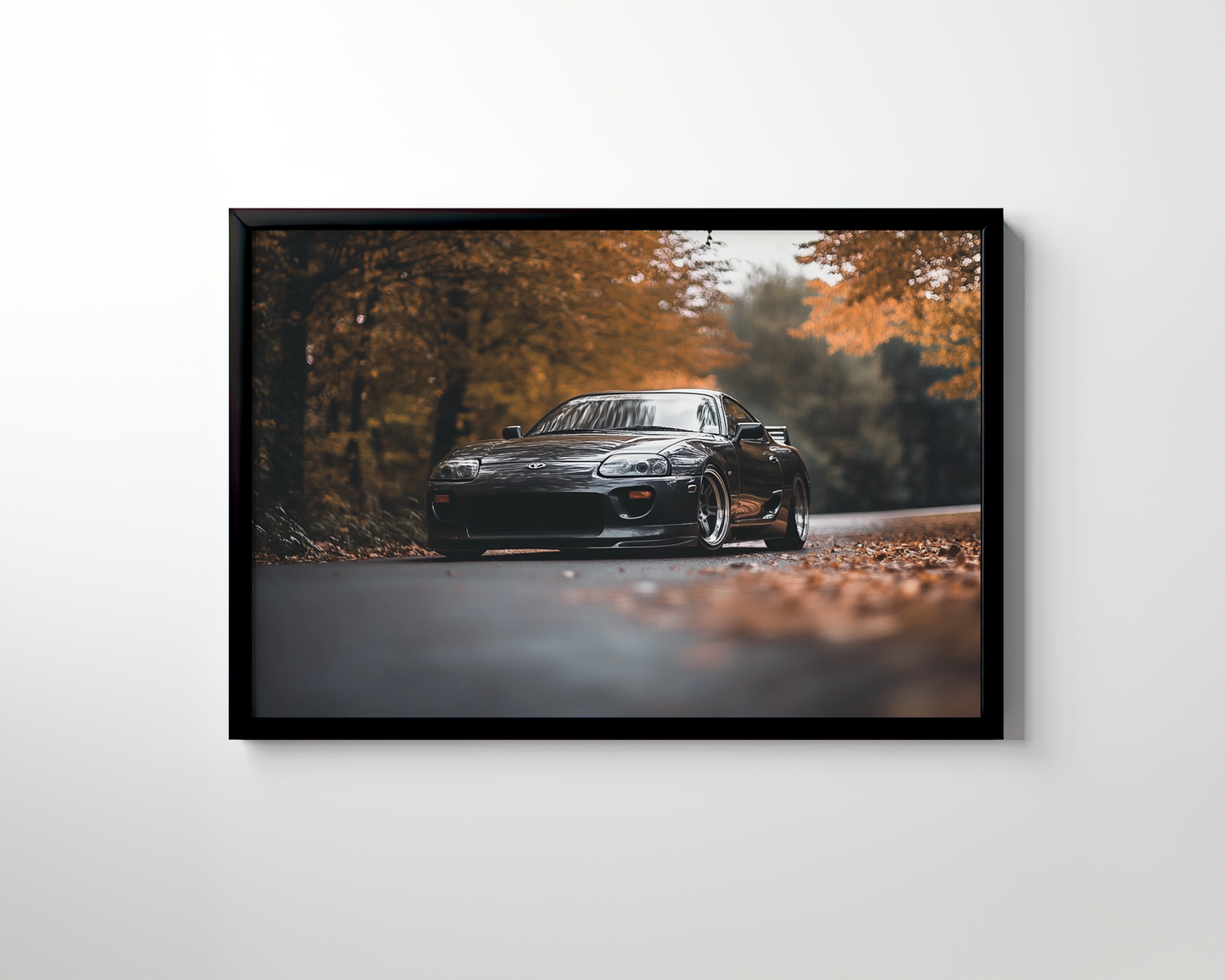 SUPRA CANVAS ART