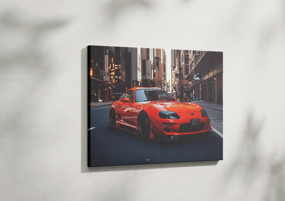 SUPRA CANVAS ART