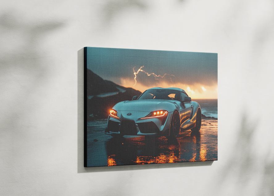 SUPRA CANVAS ART