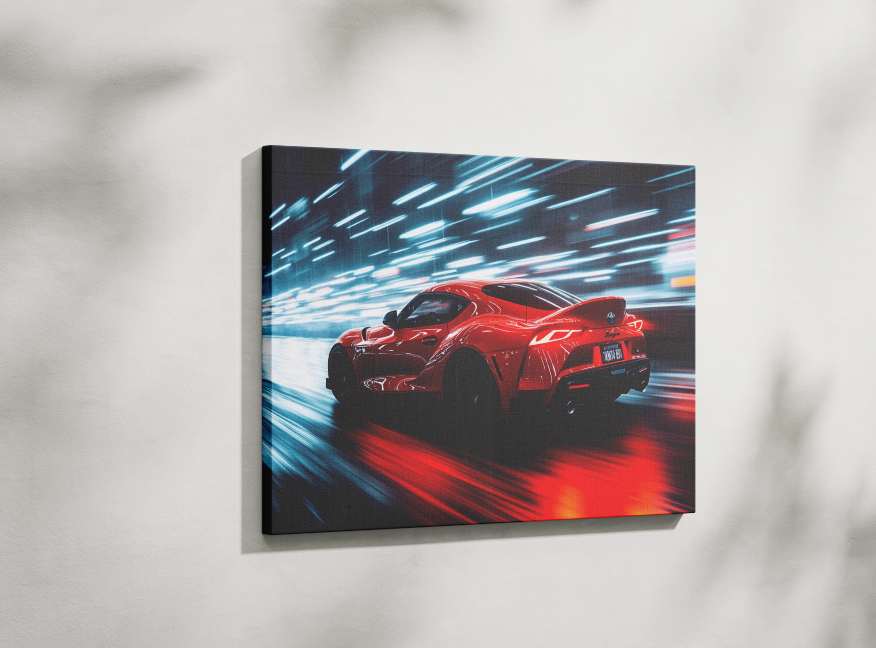 SUPRA CANVAS ART