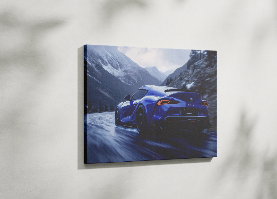 SUPRA CANVAS ART