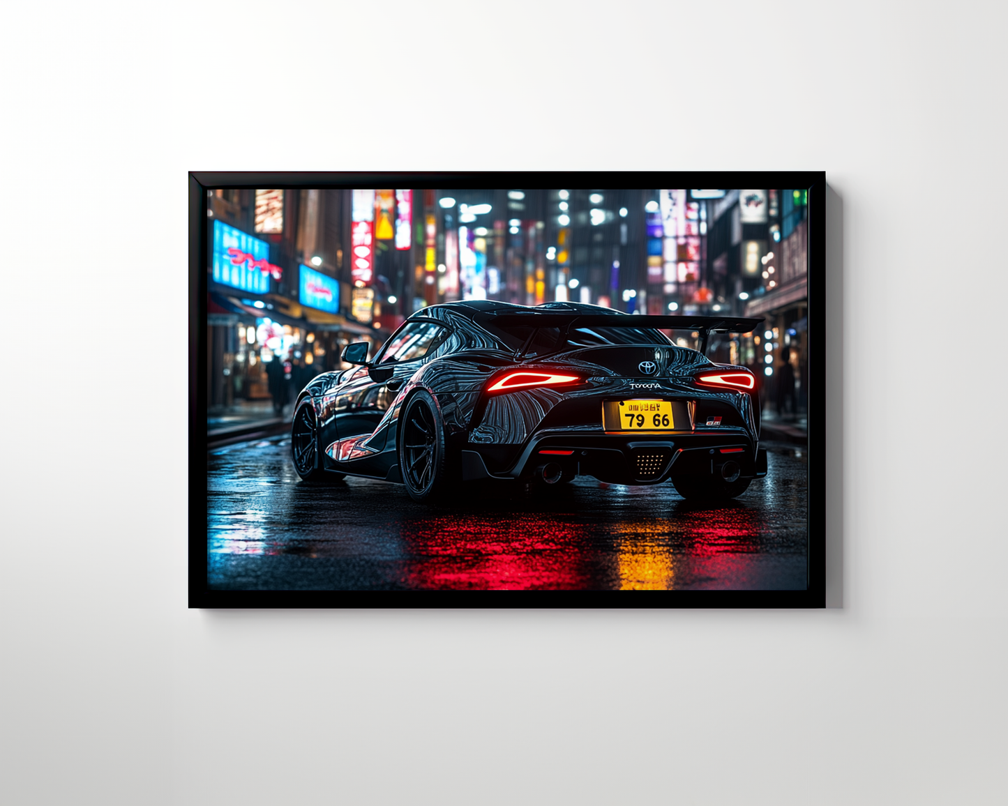 SUPRA CANVAS ART