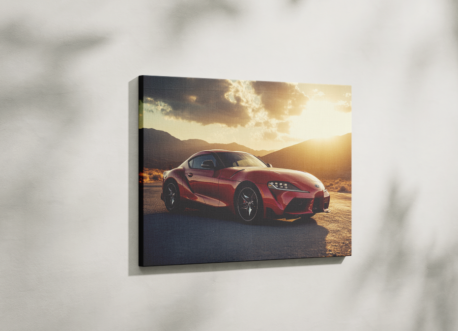 SUPRA CANVAS ART