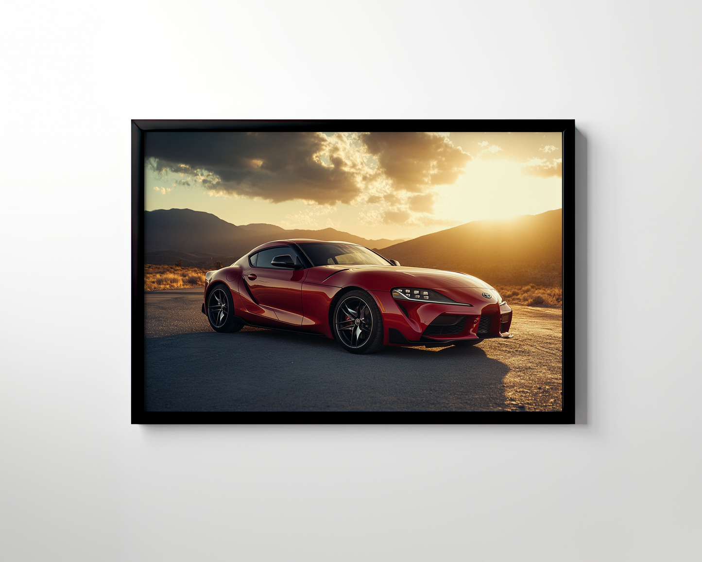 SUPRA CANVAS ART