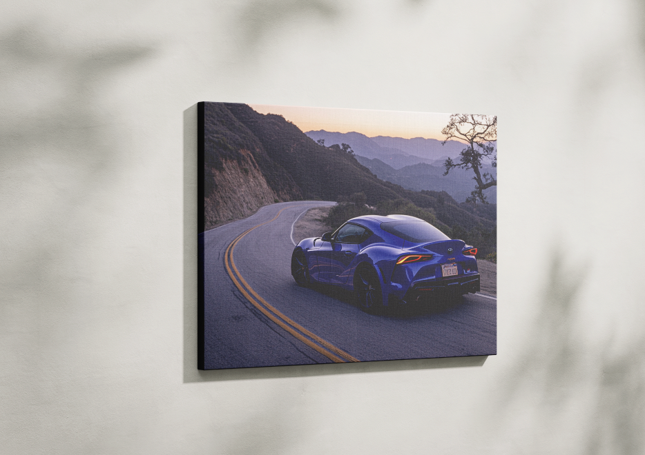 SUPRA CANVAS ART