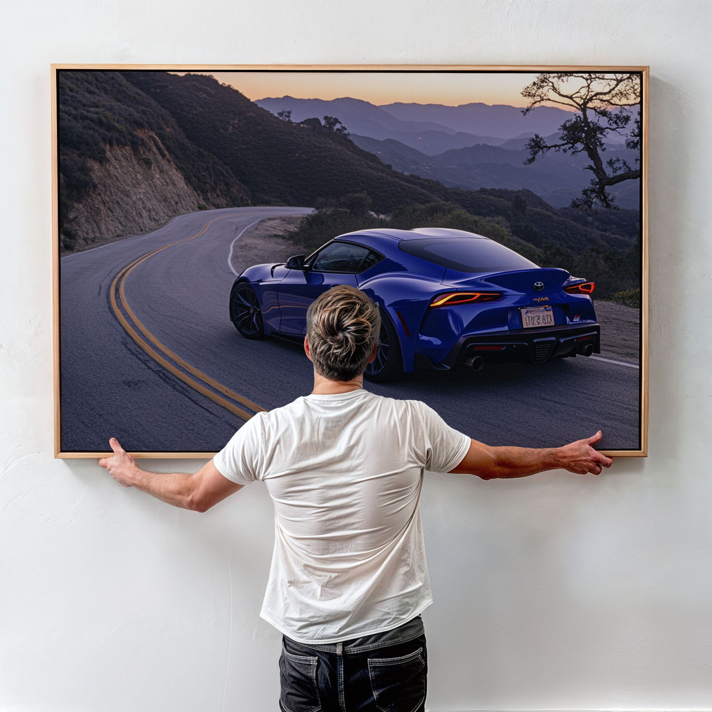 SUPRA CANVAS ART