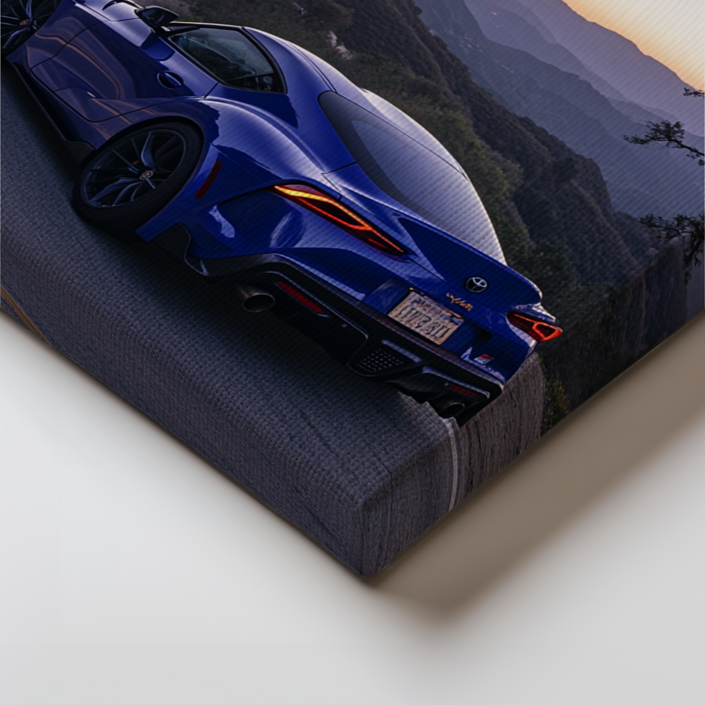 SUPRA CANVAS ART