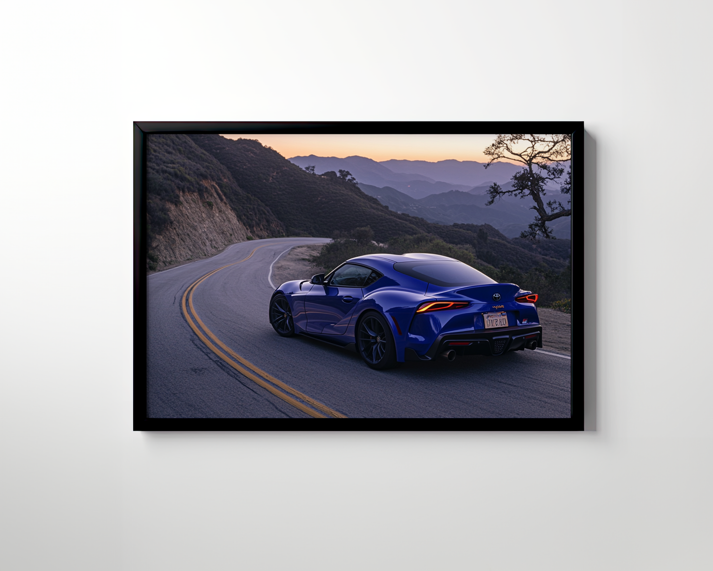 SUPRA CANVAS ART