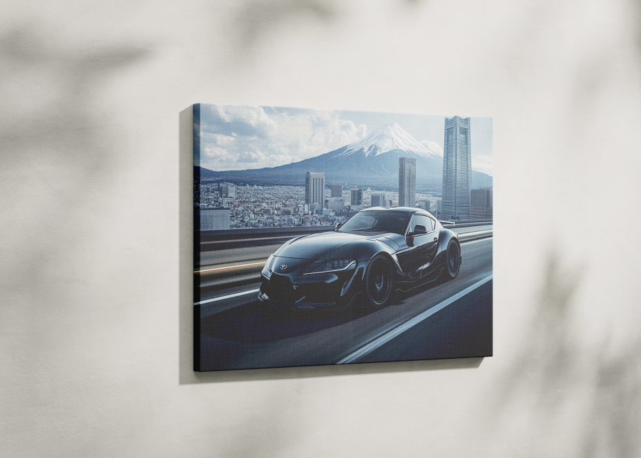 SUPRA CANVAS ART