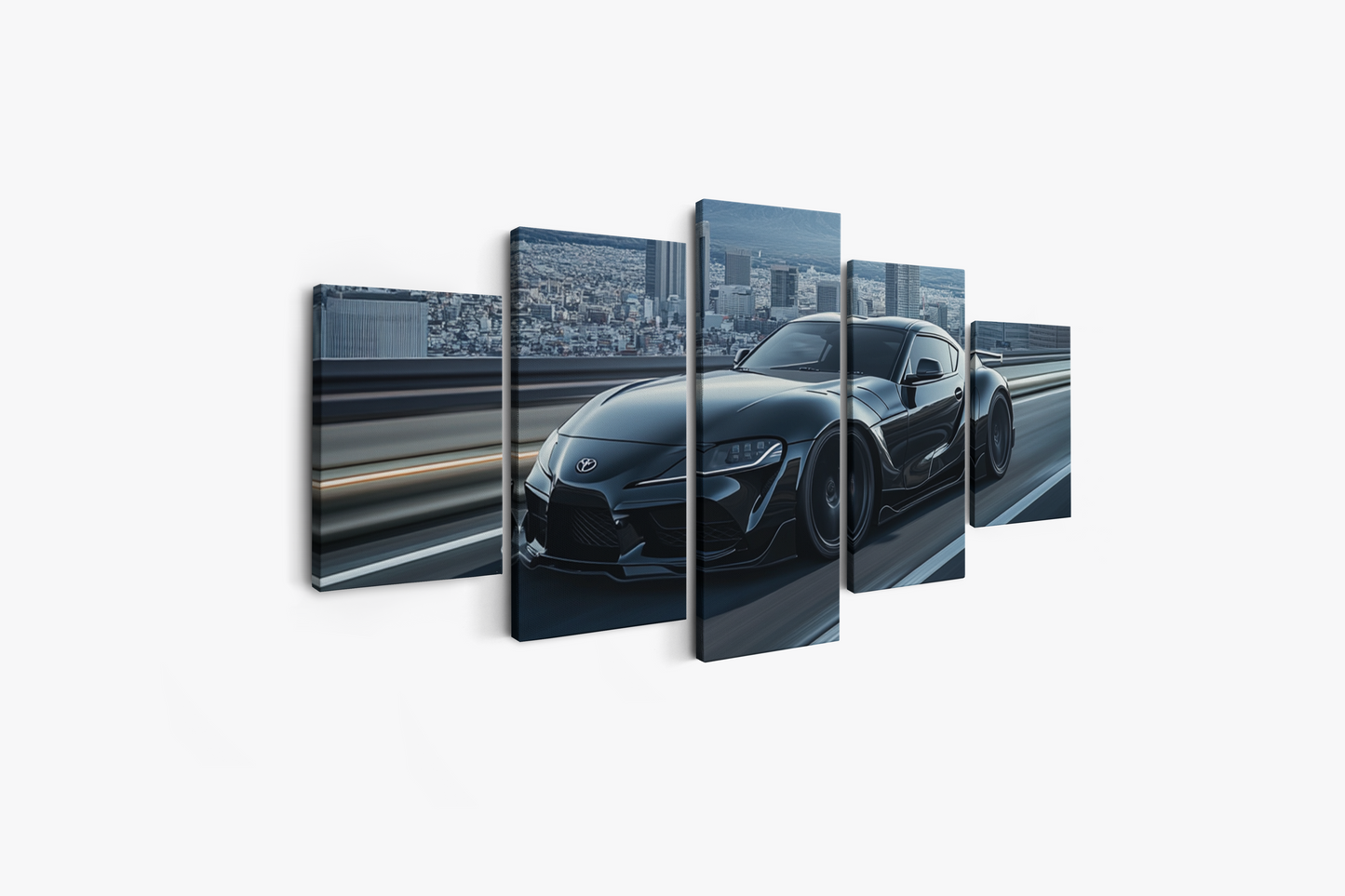 SUPRA CANVAS ART