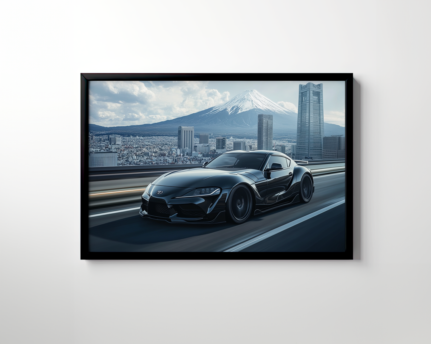 SUPRA CANVAS ART