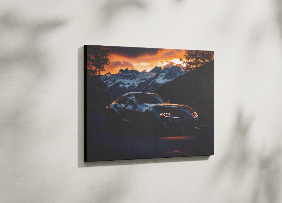 SUPRA CANVAS ART