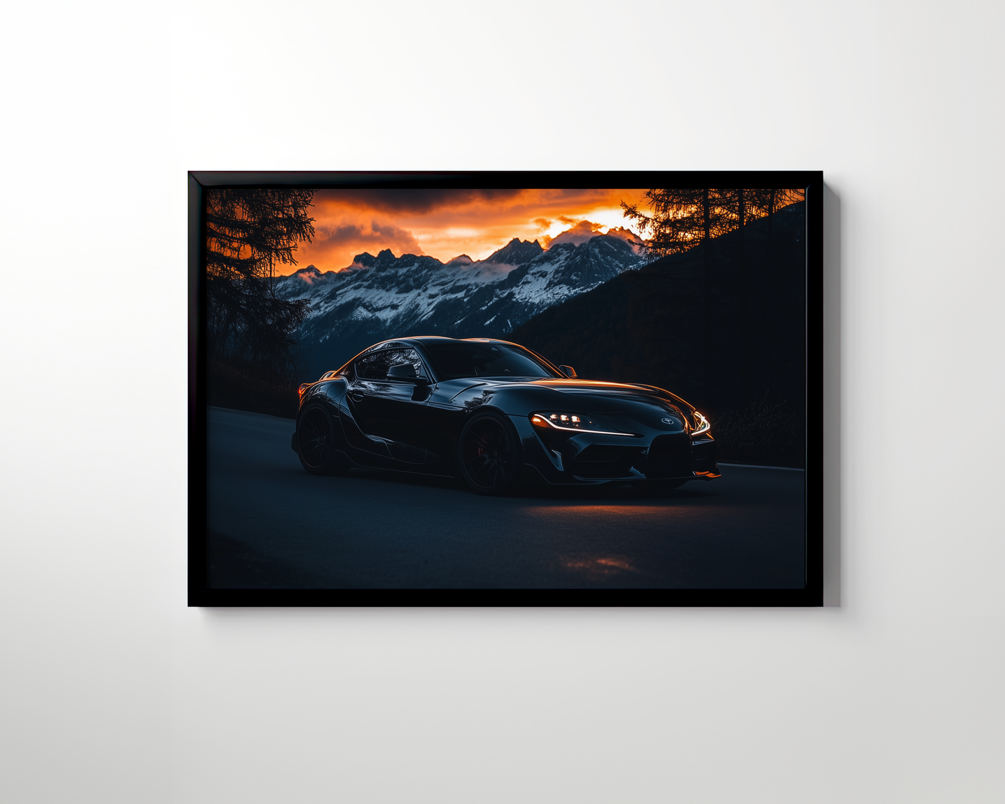 SUPRA CANVAS ART