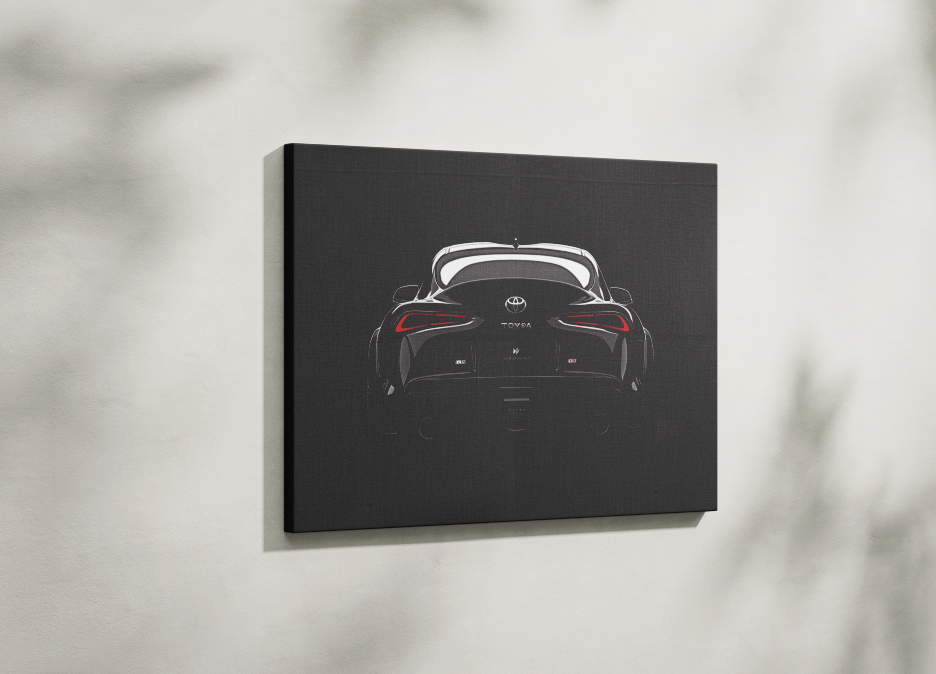 SUPRA CANVAS ART