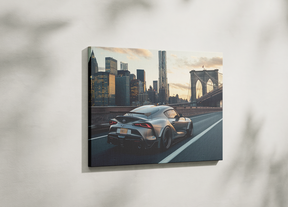 SUPRA CANVAS ART