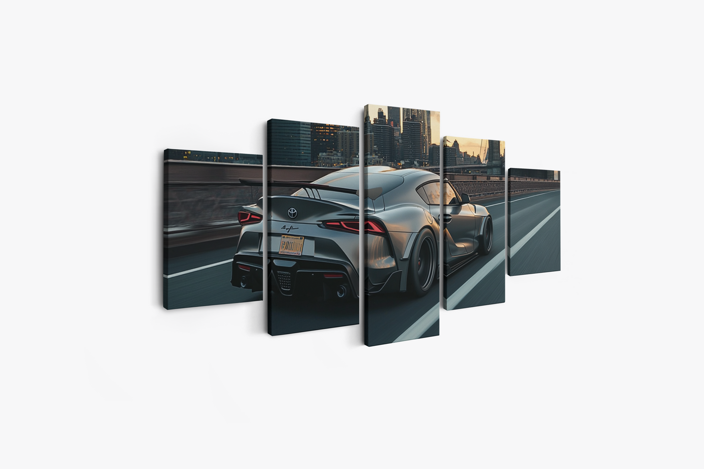 SUPRA CANVAS ART