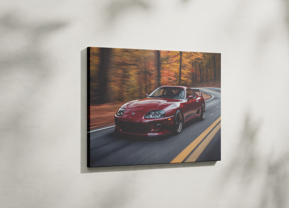 SUPRA CANVAS ART