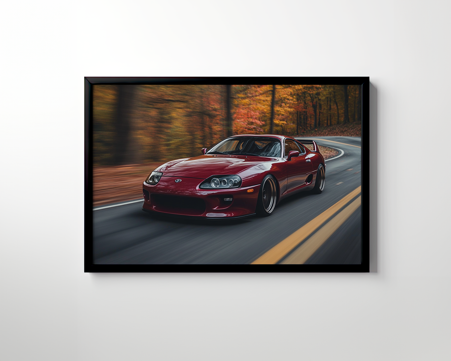 SUPRA CANVAS ART