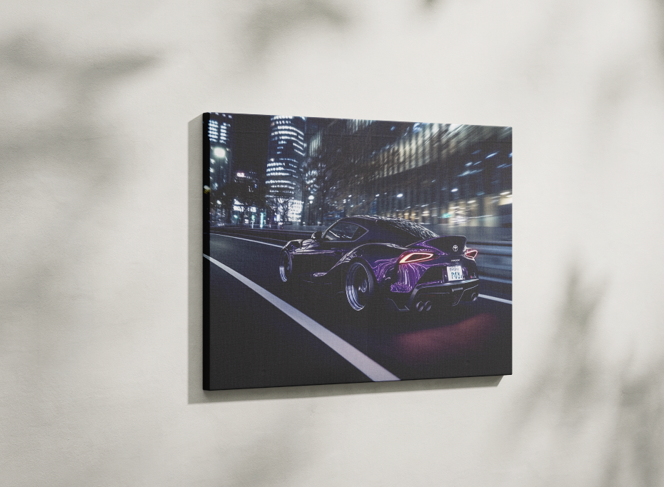 SUPRA CANVAS ART