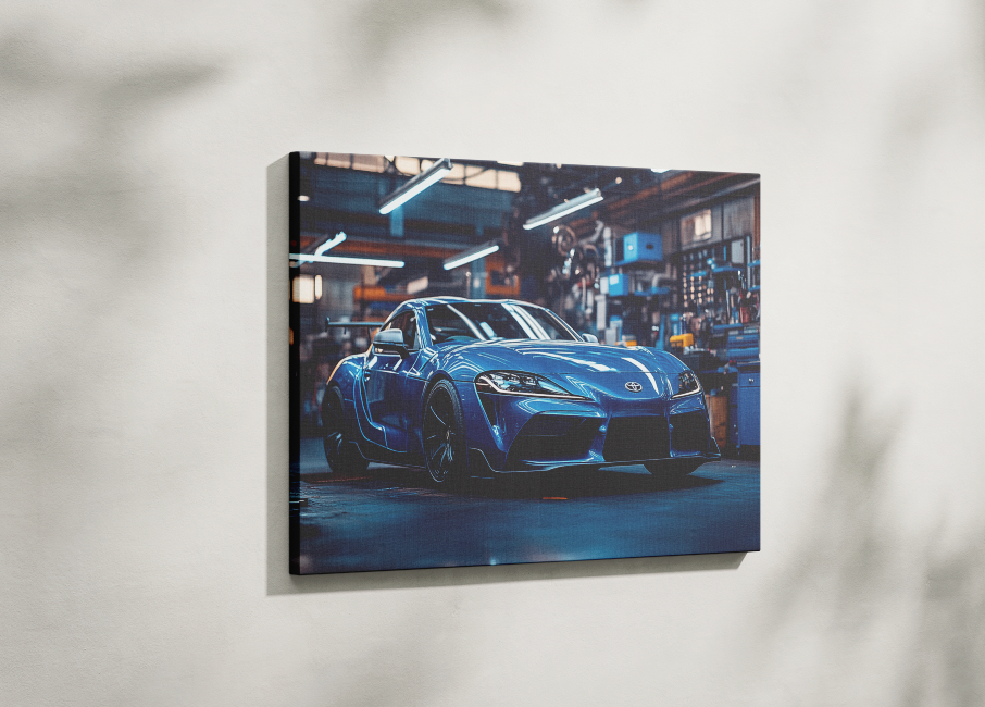 SUPRA CANVAS ART