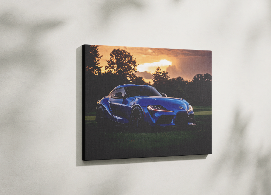 SUPRA CANVAS ART