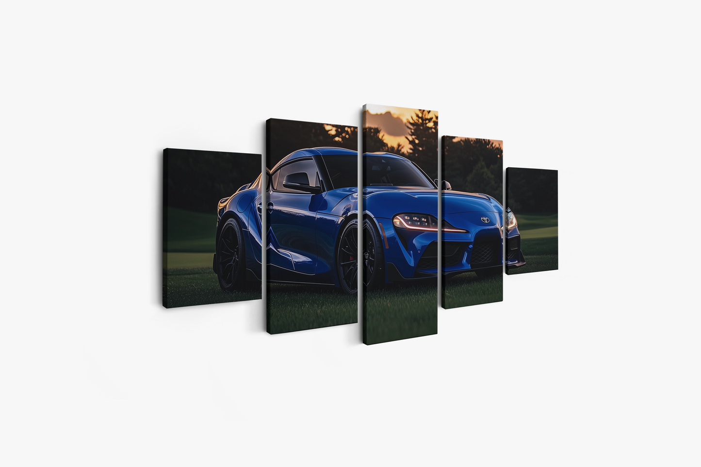 SUPRA CANVAS ART