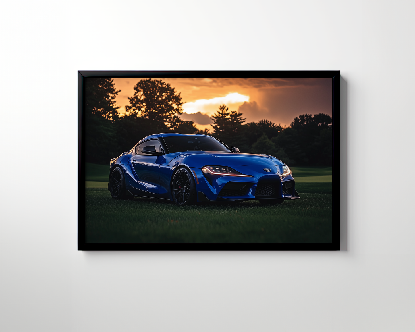 SUPRA CANVAS ART