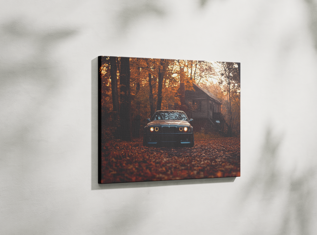 BMW CANVAS ART