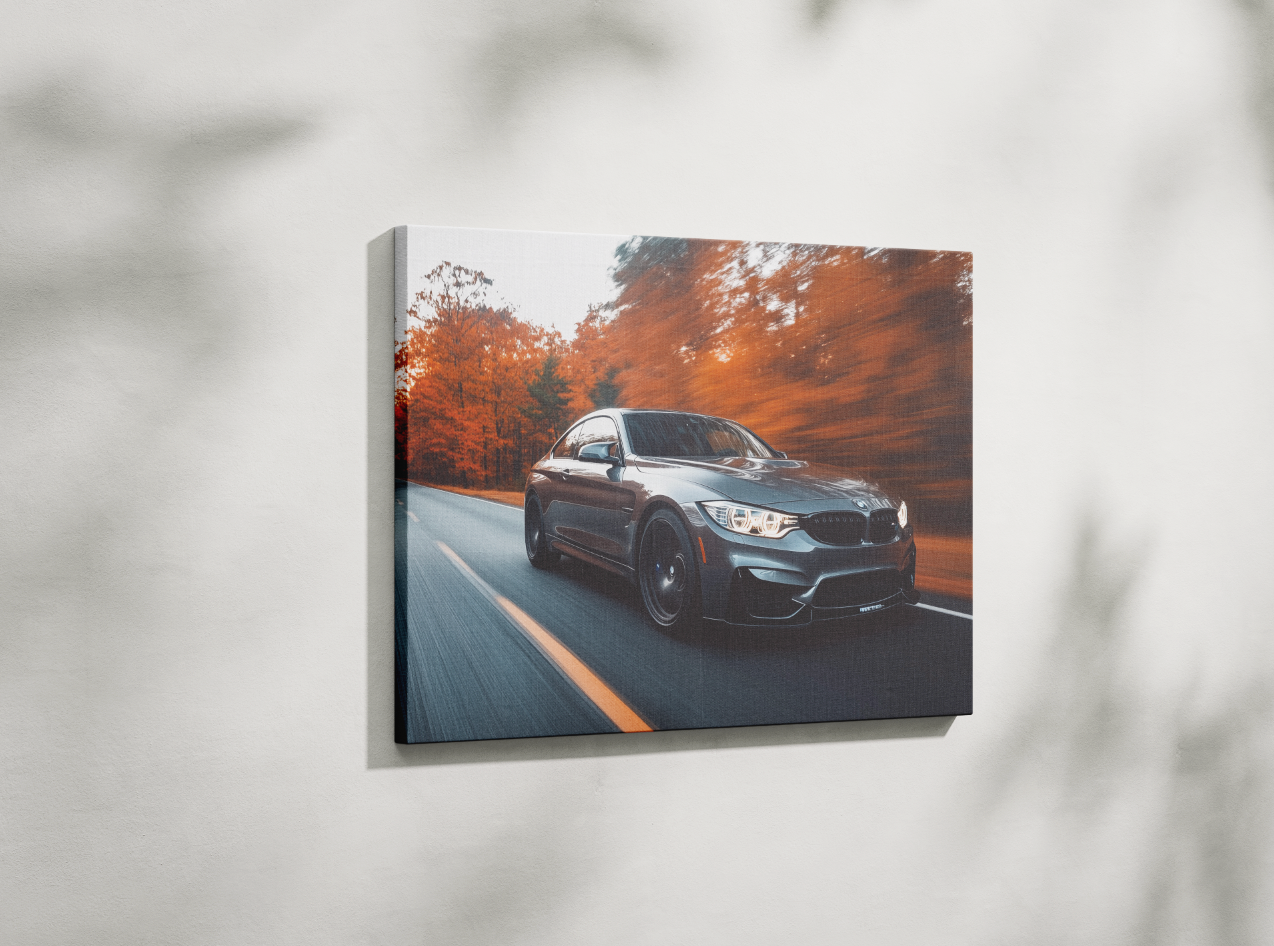 BMW CANVAS ART