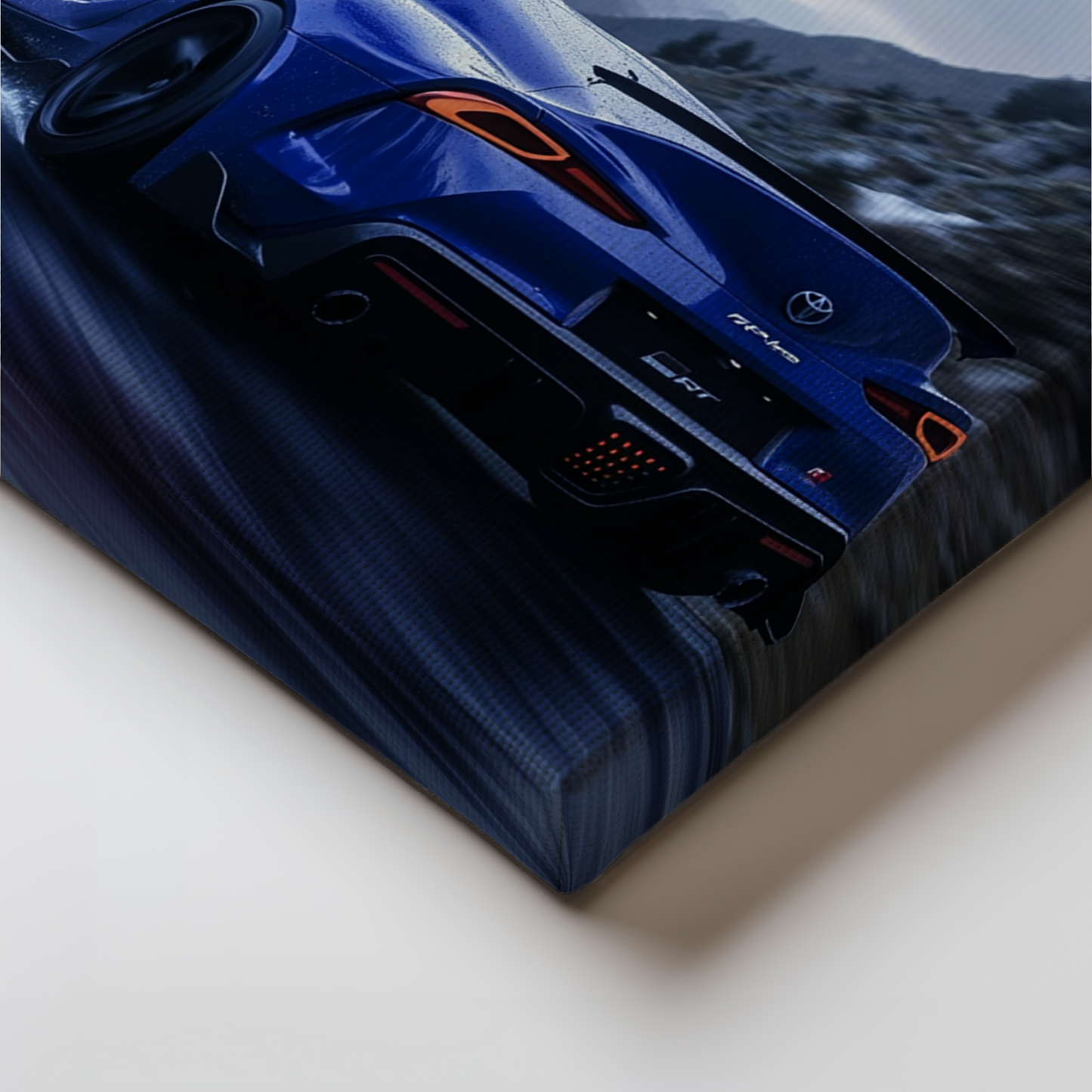 SUPRA CANVAS ART