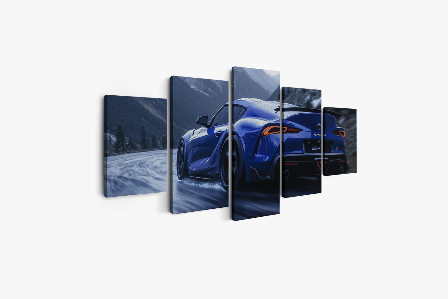 SUPRA CANVAS ART