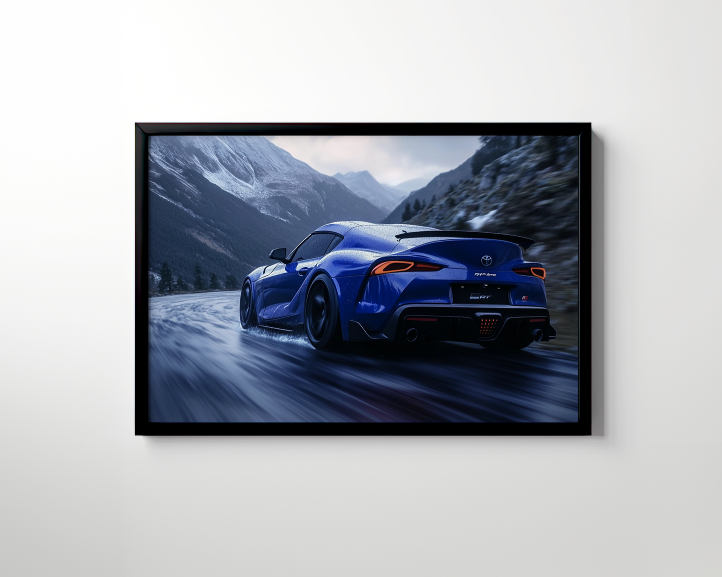 SUPRA CANVAS ART