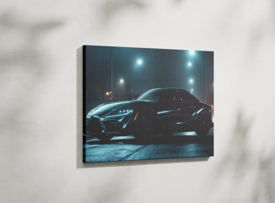 SUPRA CANVAS ART