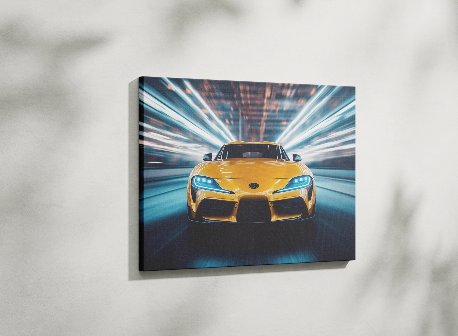 SUPRA CANVAS ART