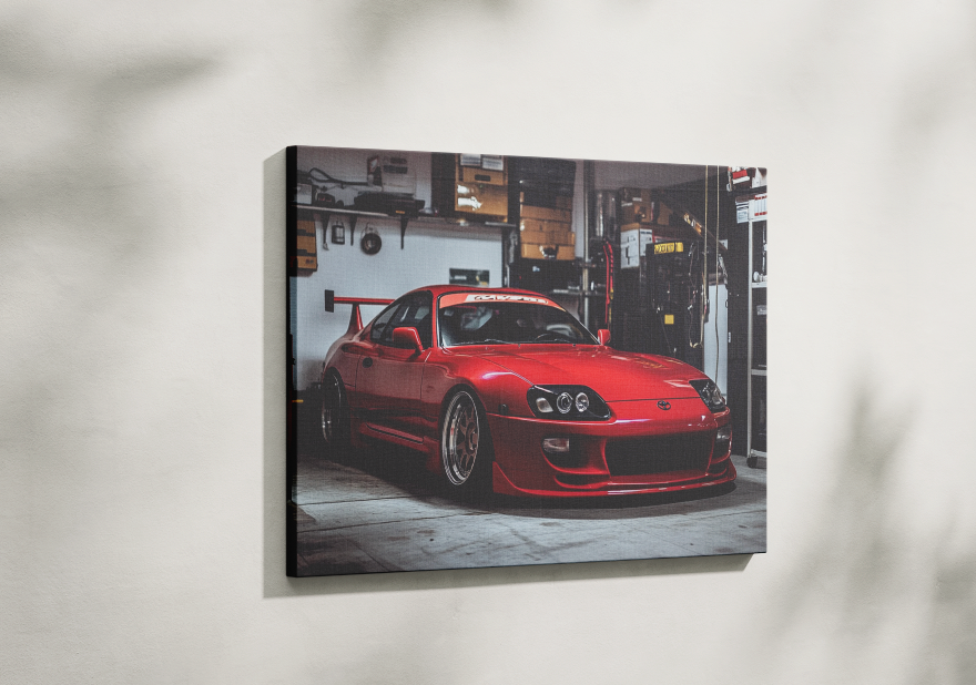 SUPRA CANVAS ART