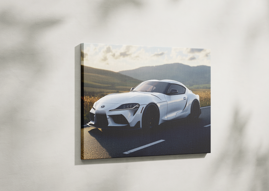 SUPRA CANVAS ART