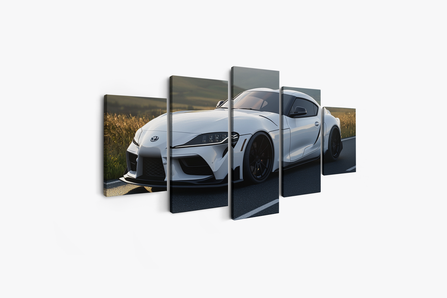 SUPRA CANVAS ART