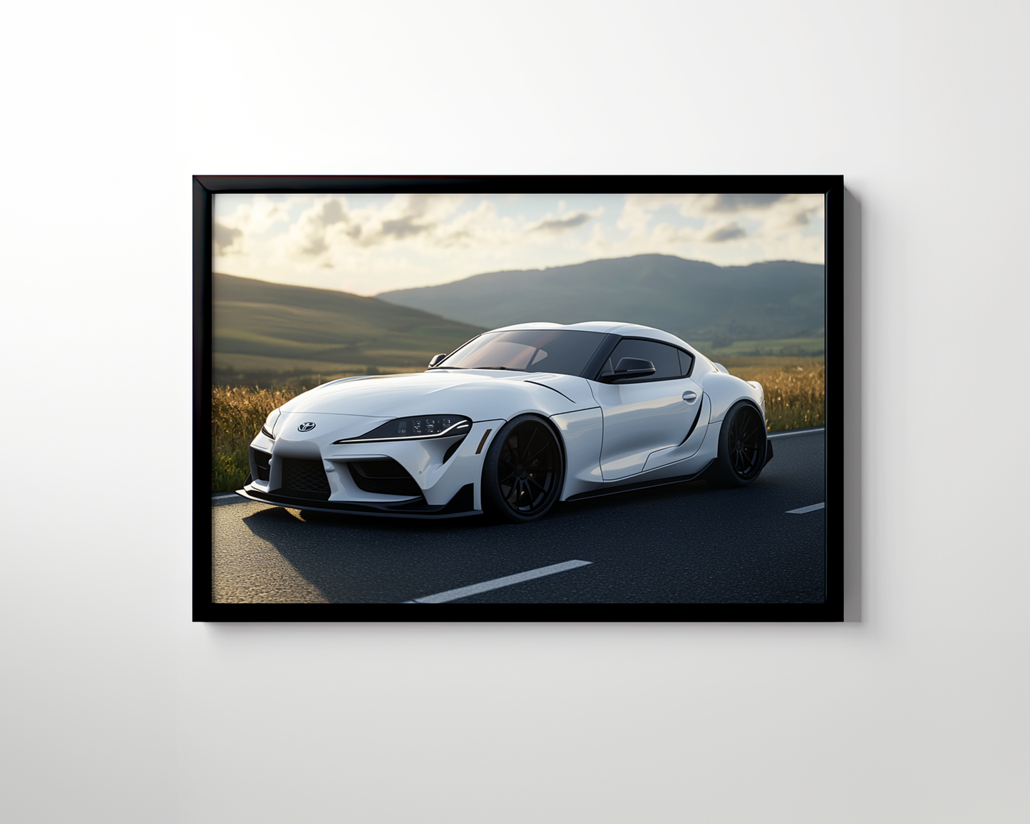 SUPRA CANVAS ART