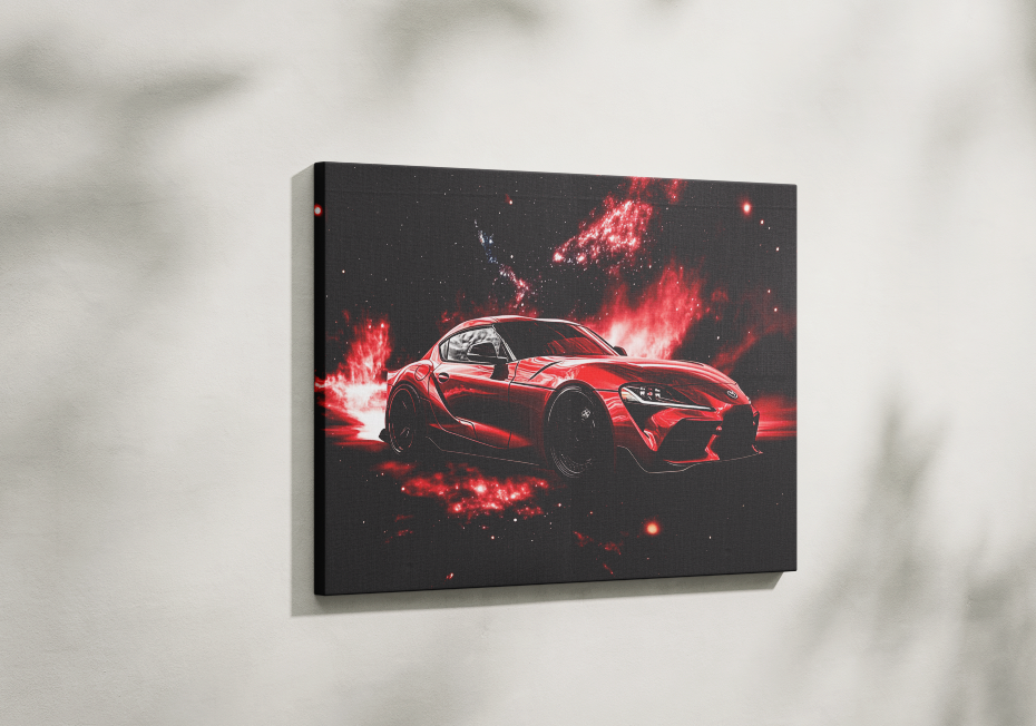 SUPRA CANVAS ART