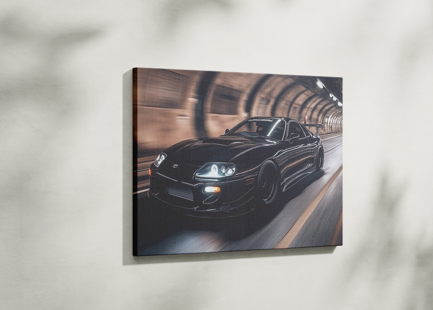 SUPRA CANVAS ART