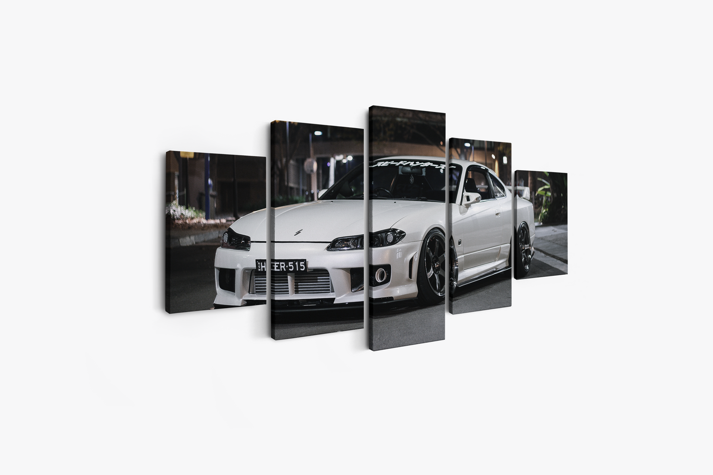 SILVIA CANVAS ART