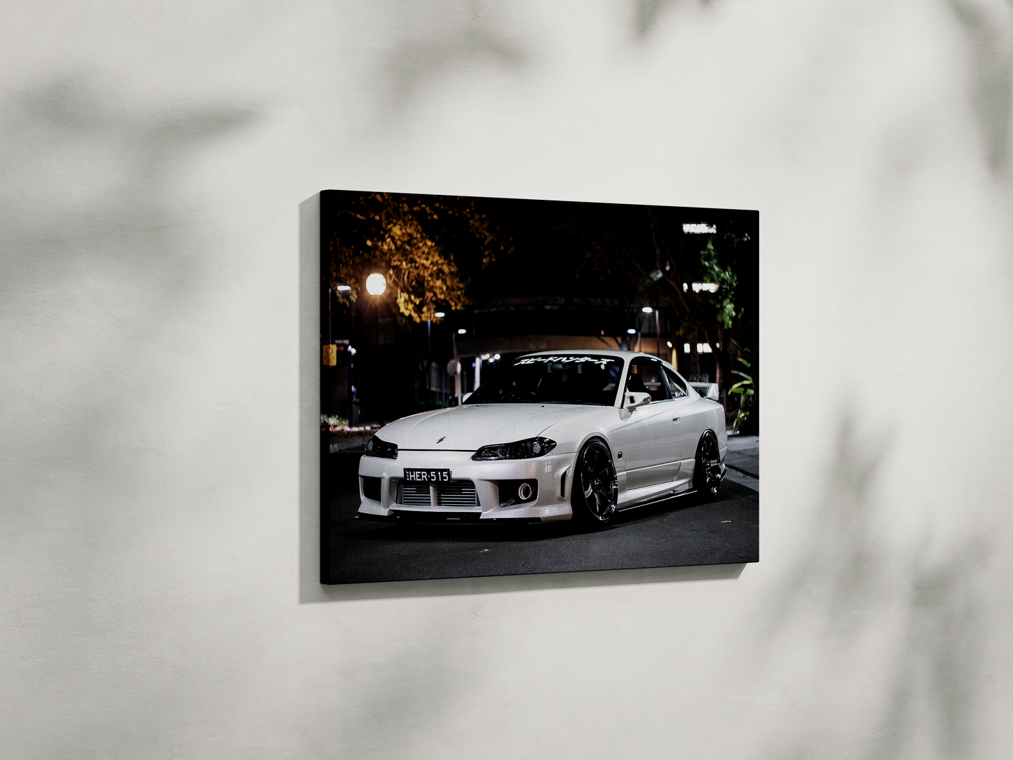 SILVIA CANVAS ART