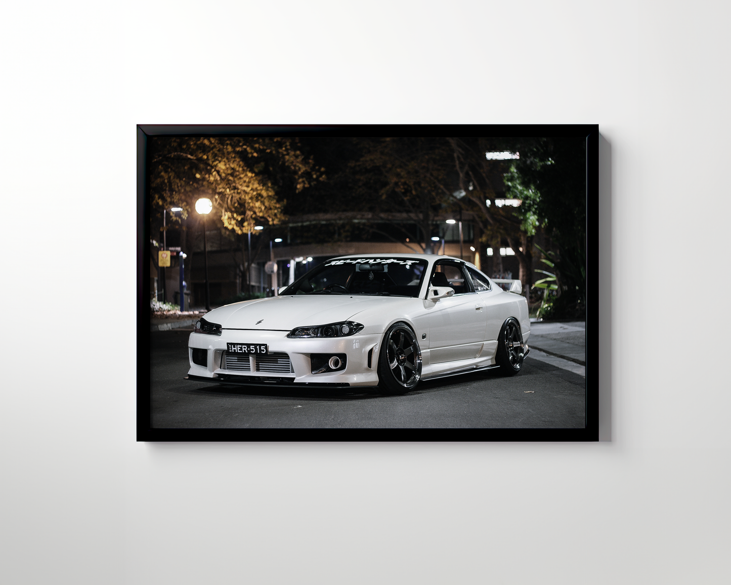 SILVIA CANVAS ART